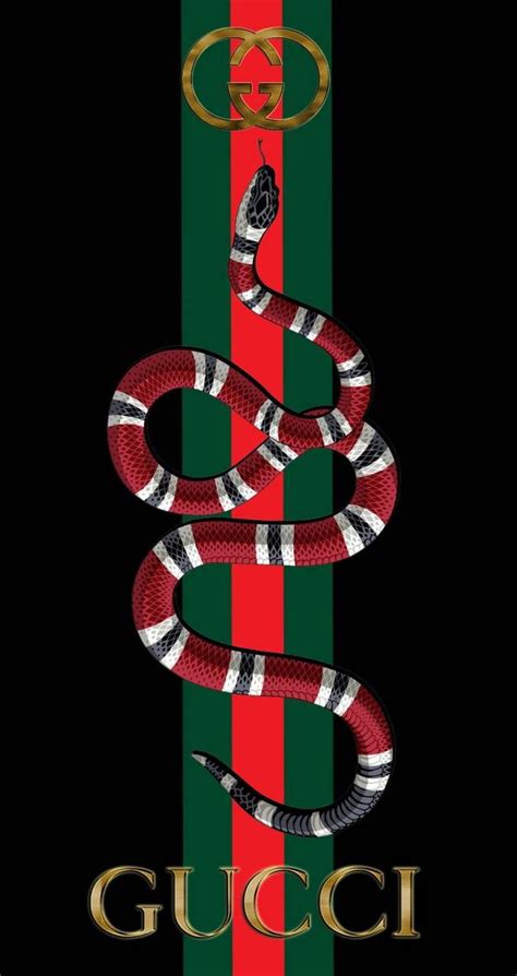 ans x gucci snake|gucci snake meaning.